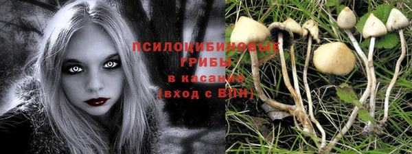 гашик Наволоки
