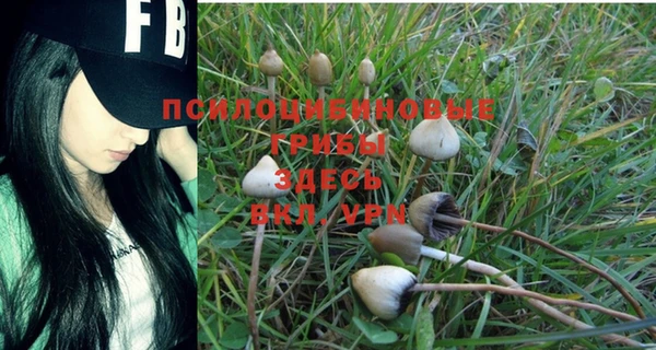 мяу мяу мука Нефтекумск