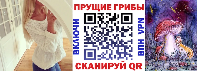 ОМГ ОМГ зеркало  Медынь  Галлюциногенные грибы прущие грибы 